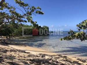 Playa las Terrenas 2 300x225