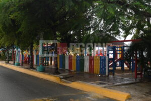 DSC 6797.JPG 300x200