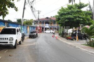 DSC 6815.JPG 300x200