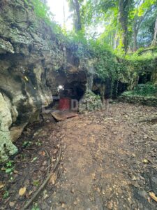 IMG 20251103 WA0005 225x300