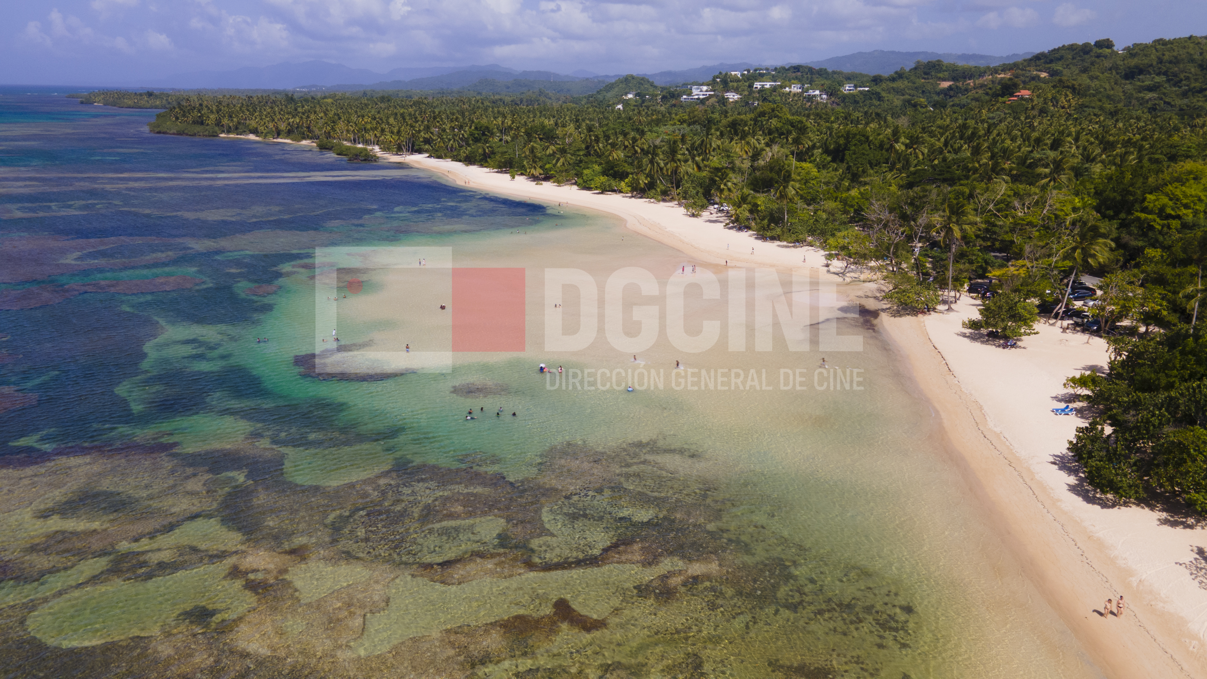 DJI 0142
