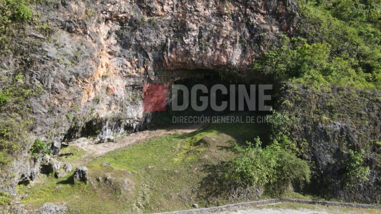 DJI 0175 768x432