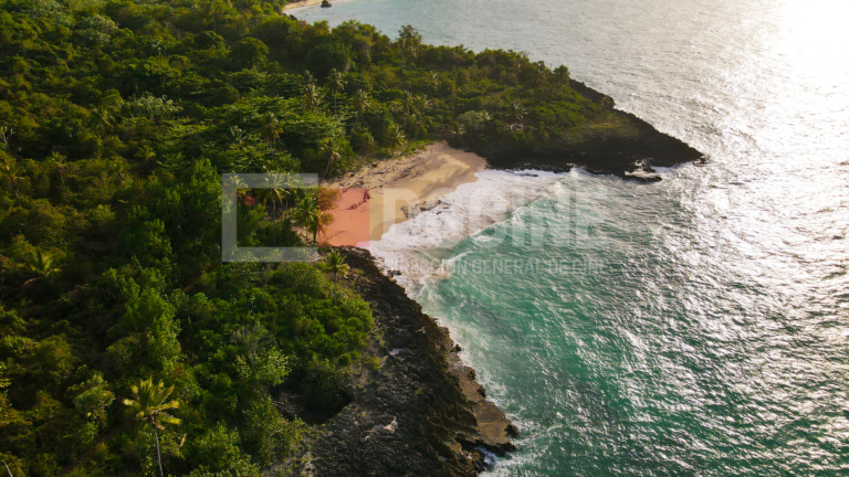 Playa el amor 768x432